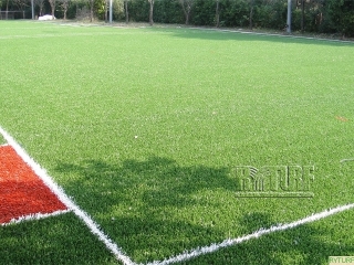 Croquet field