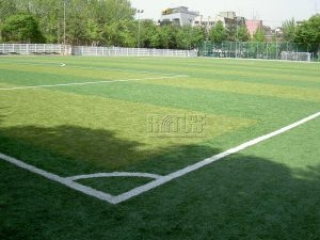 Artificial turf soccer field