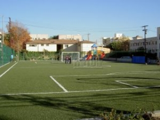 Artificial turf soccer field