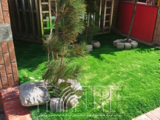 Changhua Lugang Artificial turf in the front yard
