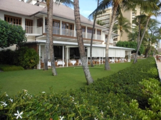 Garden Landscape