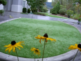 Mansion house Artificial Turf Landscape