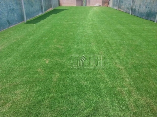 Tainan Shanhua Elementary School