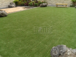 Garden Landscape