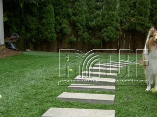 Backyard artificial turf landscape