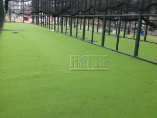 National Taiwan University