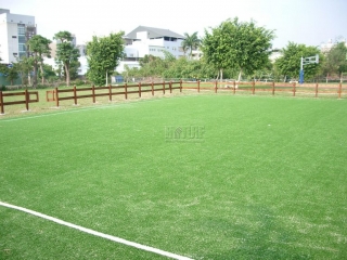 Taichung Hoping Elementary school