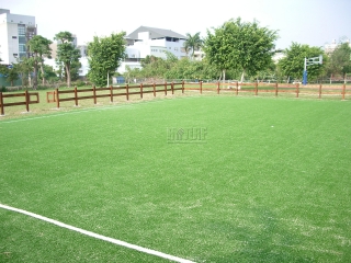 Croquet Field