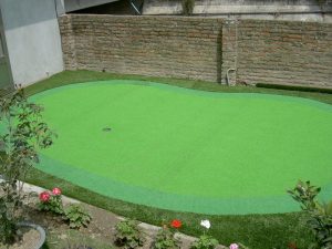 MINI COURT GRASS MINI COURT GRASS
