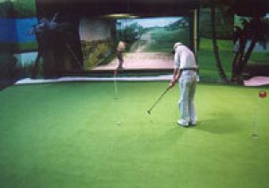 MINI COURT GRASS MINI COURT GRASS